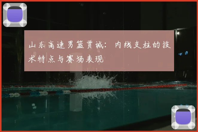 山东高速男篮贾诚：内线支柱的技术特点与赛场表现