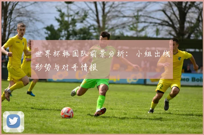 世界杯韩国队前景分析：小组出线形势与对手情报