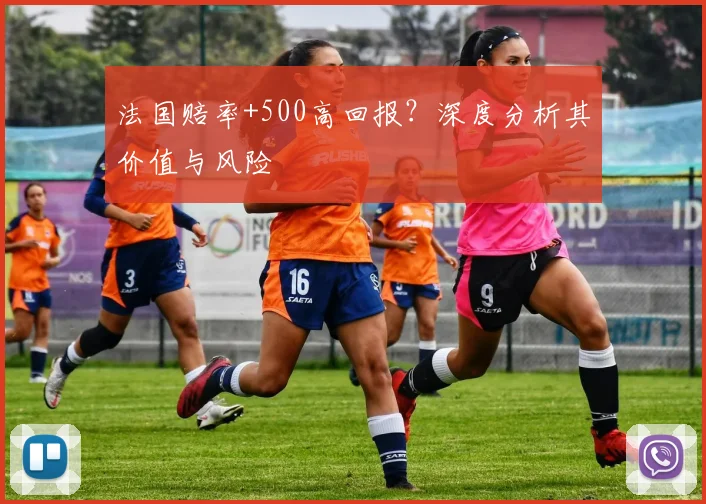 法国赔率+500高回报?深度分析其价值与风险
